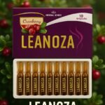 Lenoza Amp